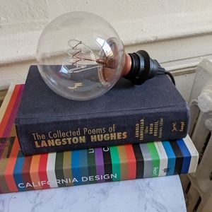 Edison style decorative lightbulb